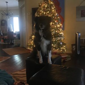 Meet your Posher, Renaté